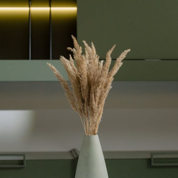 Neatly organized yoga corner with a mat, cushion, and a plant.